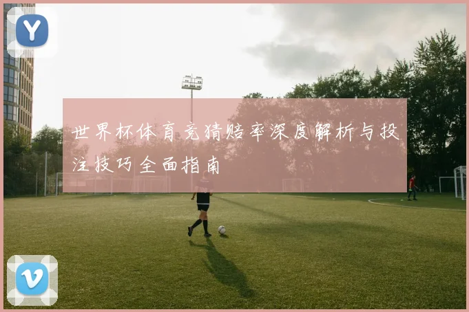 世界杯体育竞猜赔率深度解析与投注技巧全面指南