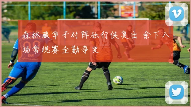 森林狼华子对阵独行侠复出 余下八场常规赛全勤争奖