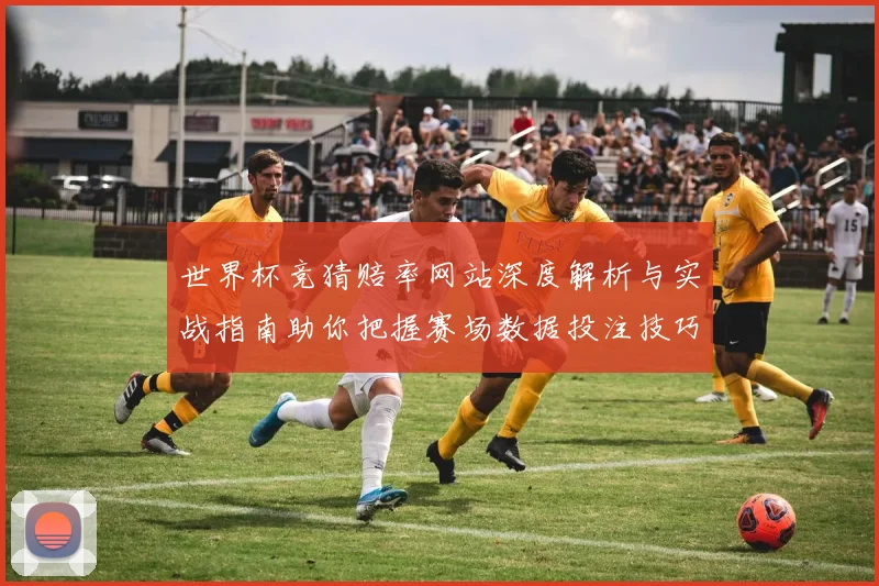 世界杯竞猜赔率网站深度解析与实战指南助你把握赛场数据投注技巧