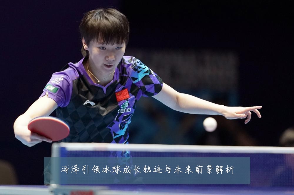 海泽引领冰球成长轨迹与未来前景解析