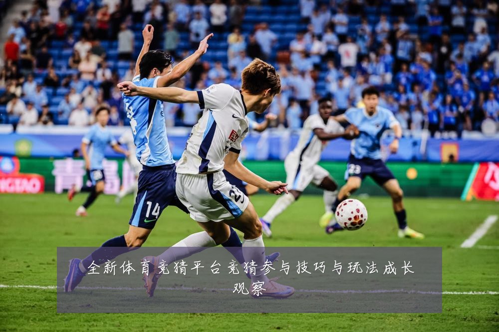 全新体育竞猜平台竞猜参与技巧与玩法成长观察