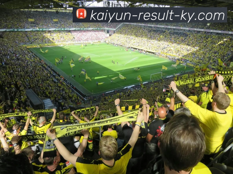 开云APP 高清赛事图